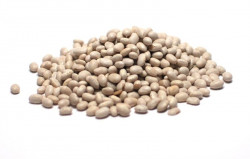 Fasole Alba Boabe TPS 1kg - 071333 - Img 2