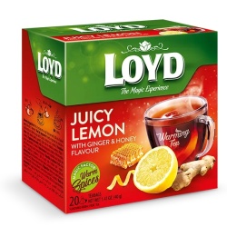 LOYD Warm Spice Ceai Infuzie de Lamaie cu Ghimbir si Miere Piramide 20x2g