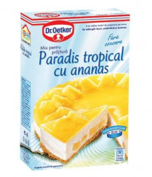 Mix Pentru Prajitura Paradis Tropical cu Ananas DR.OETKER 287g
