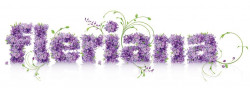 Produs Natural Anti-Molii pentru Haine FLERIANA 3buc - Img 3