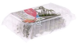 Tarhon Proaspat 70g