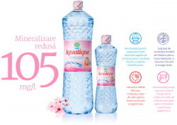 Apa Plata AQUATIQUE 12x500ml - 22011011 - Img 5