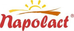 Iaurt Pur si Simplu 3.5% NAPOLACT 900g - Img 2
