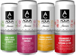 Apa Minerala Aromatizata Carbogazoasa AQUA CARPATICA Piersica si Mango doza 4x330ml - Img 4