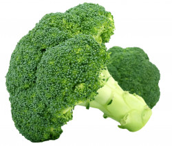 Broccoli Proaspat Import pret/kg - 07041010 - Img 2
