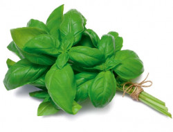 Busuioc Frunze Proaspat 30g