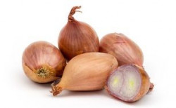 Ceapa Echalotts Franta 800g - 0703