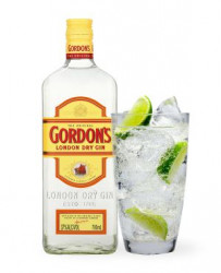 Gin GORDON'S 700ml - 22085011 - Img 4