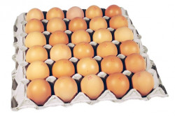 Oua de Gaina Cat. A Clasa M (53g-63g) (crescute la sol) TRANSGOURMET cofrag 30buc - Img 2