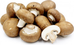 Ciuperci Champignon Brune Proaspete cas. 500g - 0709