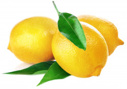 Lamai pret/kg - 08055010