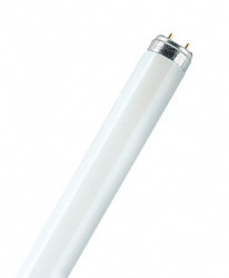 Tub Fluorescent (Neon) OSRAM L18W/840L Daylight