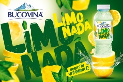 BUCOVINA Limonada pet 500ml