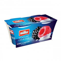 Iaurt cu Fructe MULLER Mure-Zmeura 2x125g