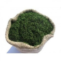 Marar Uscat FUCHS 250g