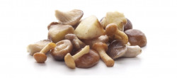 Mix de Ciuperci Congelate M. CHEF 1Kg - 07108069
