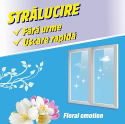 ASEVI Detergent - Solutie pentru Geamuri, Ferestre Floral Emotion 750ml