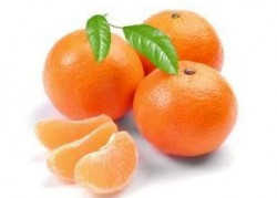 Mandarine pret/kg - 08052110