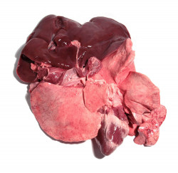 Organe de Miel Congelate Import pret/kg