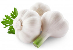Usturoi cca. 250g - 0703