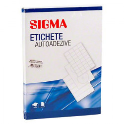 Etichete Autoadezive SIGMA 10buc/foaie 105x57mm 100 foi