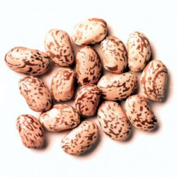 Fasole Boabe Pestrita COLONIAL 1Kg - 07133900