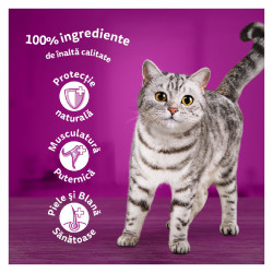 Mancare Umeda pentru Pisici WHISKAS Adult Selectie de Pasare 12x85g