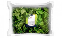 Spanac Baby Proaspat cas. 500g - 07097000
