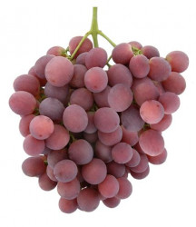 Struguri Rose pret/kg - 08061010
