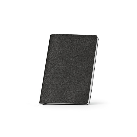 Sartre Notebook