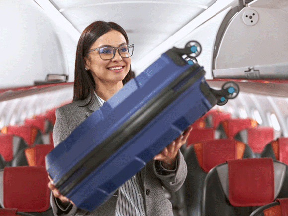 Cum alegi bagaje pentru avion de calitate?