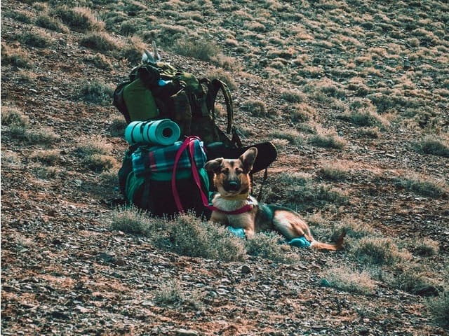 Care sunt accesoriile de camping pe care nu trebuie să le uiți acasă?