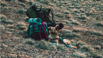 Care sunt accesoriile de camping pe care nu trebuie să le uiți acasă?