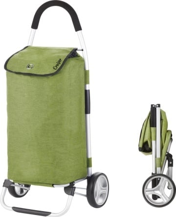 Carucior Cumparaturi Pliabil Cruiser 650068 Verde