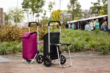 Carucior Cumparaturi cu Scaun Shop&Relax CRUISER 604351 Fuchsia - Img 2