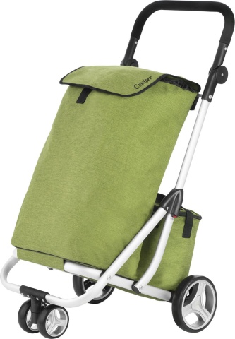 Carucior Cumparaturi 3 Roti Cruiser 650071 Verde