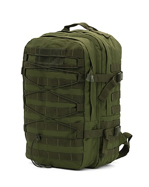 Rucsac de Călătorie 42x31x22 cm, Laptop 15.6”, Poliester, BZ 5930, Kaki