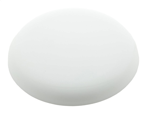 Frisbee