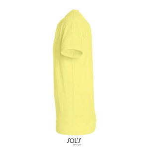 REGENT UNI T-SHIRT 150g - Img 107