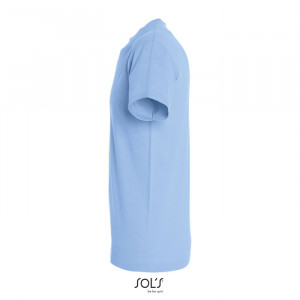REGENT UNI T-SHIRT 150g - Img 117