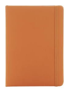 Caiet RPU - Img 2