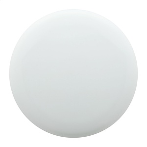 Frisbee - Img 2
