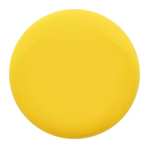 Frisbee - Img 2