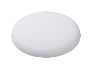 Frisbee
