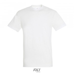 REGENT UNI T-SHIRT 150g - Img 40