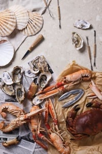 Set VINGA Story of Seafood - Img 5