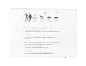 Bloc de note adezive din hârtie de semințe - Img 5