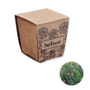 Kit cu semințe de floarea-soarelui - Img 1