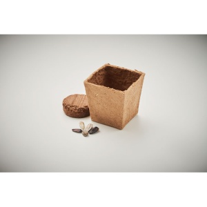 Kit cu semințe de floarea-soarelui - Img 5