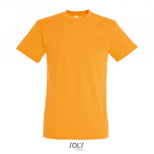 REGENT UNI T-SHIRT 150g - Img 6